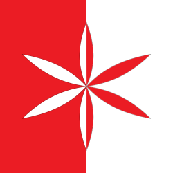 Drapeau du pays